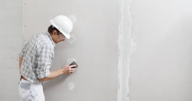 Best Mold Prevention Services  in Chittenango, NY