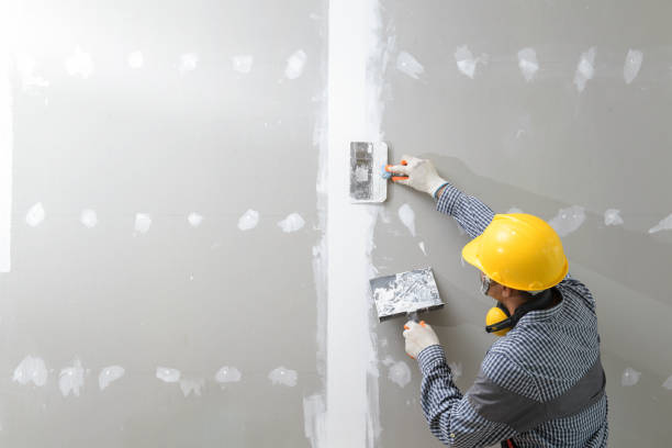 Best Water Damage & Mold Remediation  in Chittenango, NY