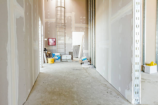 Best Forensic Mold Investigation  in Chittenango, NY